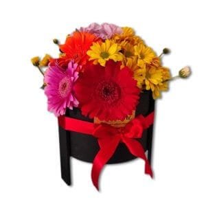 Jardín de Margaritas y Gerberas