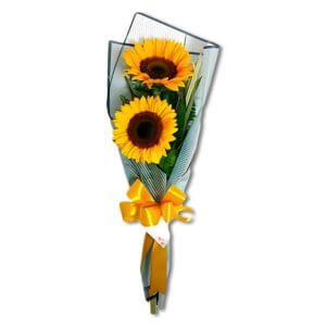 Dúo de girasoles