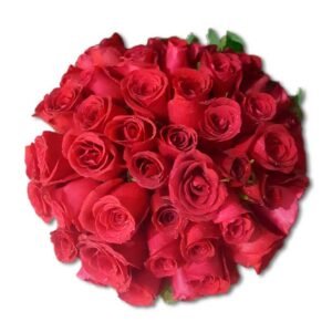 24 Rosas en caja de regalo