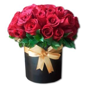 24 Rosas en caja de regalo