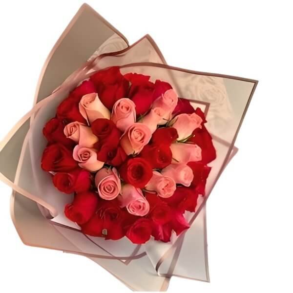 72 Rosas, Magestuoso! - Imagen 2