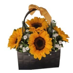 Alegres Girasoles