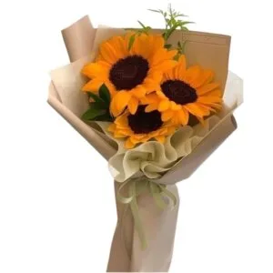 Armonia de Girasoles