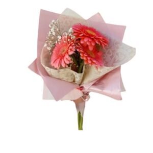 Alegria de Gerberas