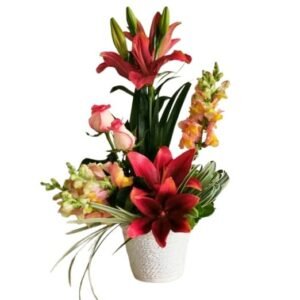 Pureza de Lirios y Rosas