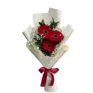 Pasión de Gerberas